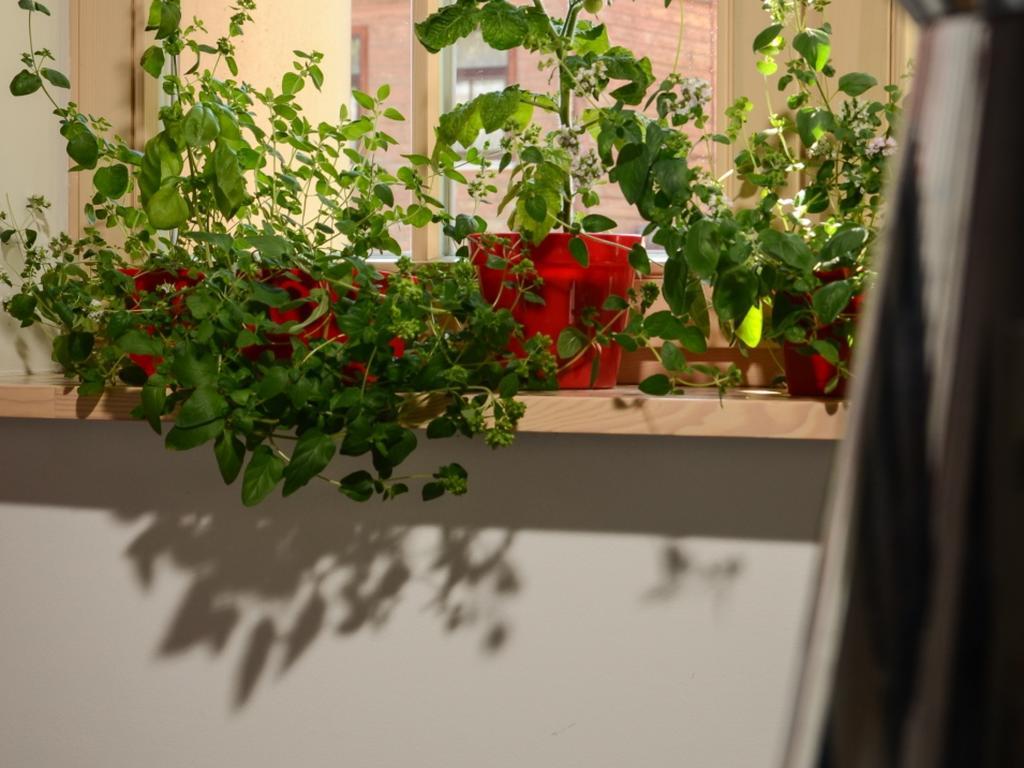 Mans Nams - Self Check In Hotel サルダス 部屋 写真